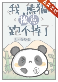 熊猫崽崽重生小说